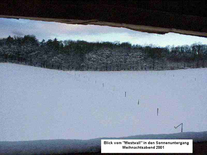 westwall800.jpg (27748 Byte)